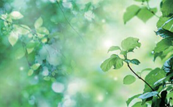 img12-300x172